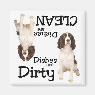 Íman Inglês Springer Spaniel lança o lava-louça
