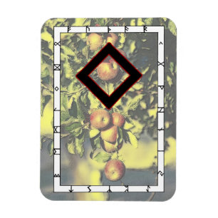 Íman Ingwaz Viking Rune Magnet - Herói!