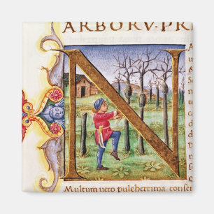 Íman Inicial 'N de Historiated