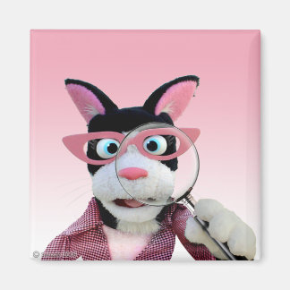 Íman Inicializa o ímã