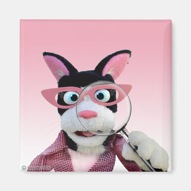 Íman Inicializa o ímã (Frente)