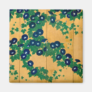 Íman Início do século XIX das corriolas  