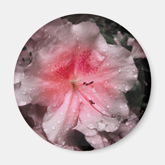 Íman Inner Glow Magnet (Frente)