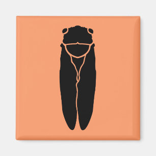 Íman Inseto de Cíada Negra