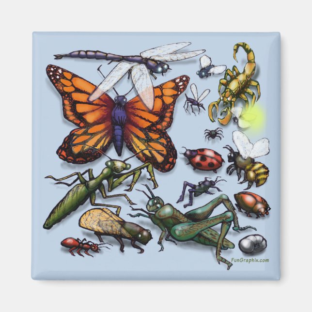 Íman Insetos (Frente)
