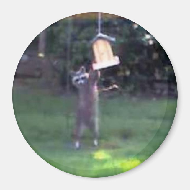 Íman Inspetor Raccoon (Frente)