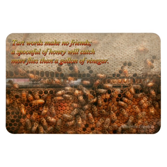 Íman Inspiração - Apiário - Abelhas - Sucesso doce (Horizontal)