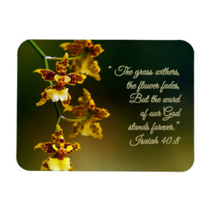 Íman Inspiração Isaiah 40:8