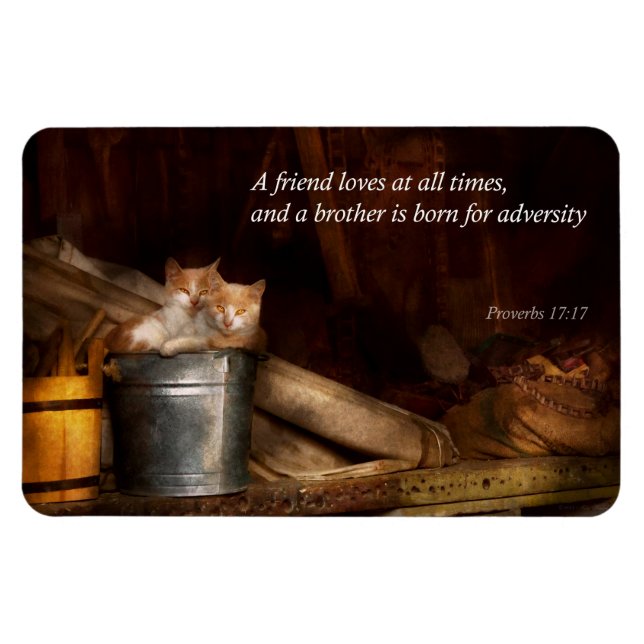 Íman Inspiracional - Cat - Balde de diversão (Horizontal)