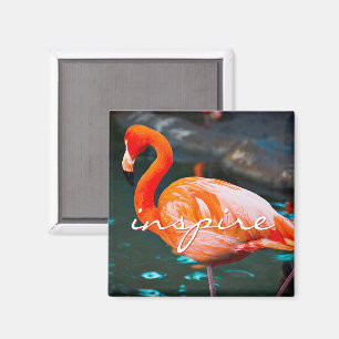 Íman Inspire Script Pink Flamingo Photo Modern Na moda