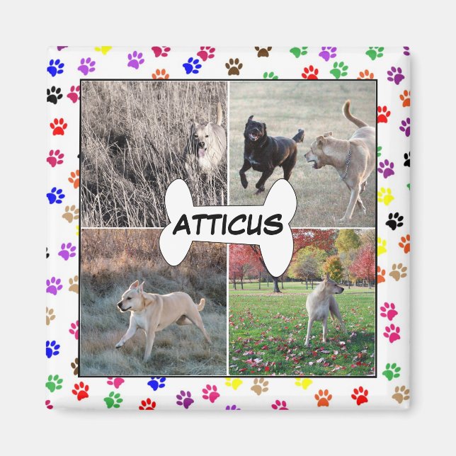 Íman Instagram Impressões de Pata Personalizadas de Fot (Frente)