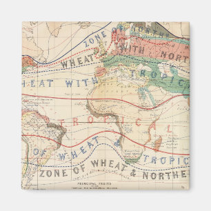 Íman Instalações de distribuição