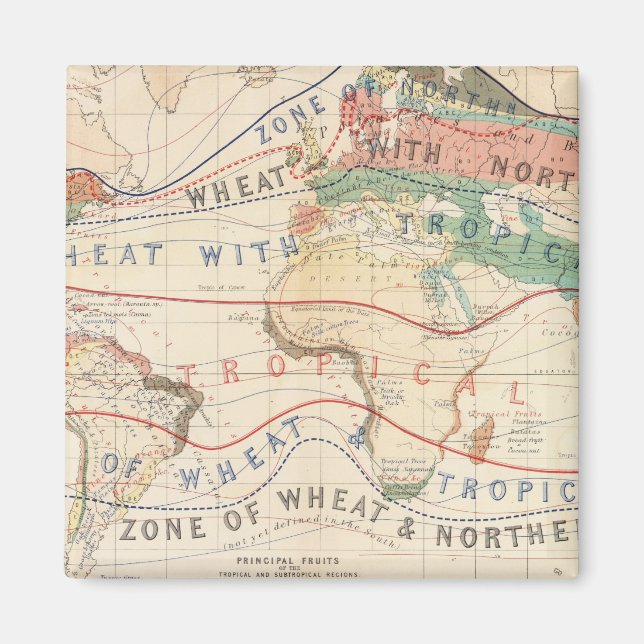 Íman Instalações de distribuição (Frente)