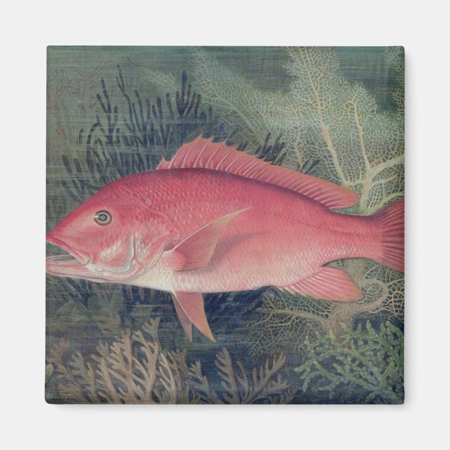 Íman Instantâneo Vermelho, de 'Peixes de Jogo dos Estad (Frente)