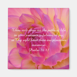 Íman Inteiro de Joy Magnet