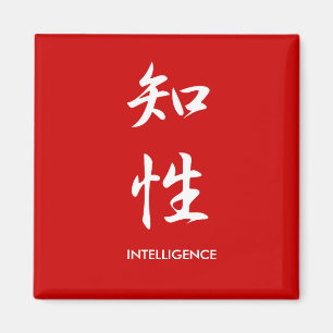 Íman Inteligência - Chisei
