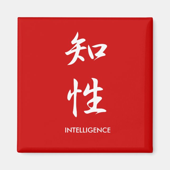 Íman Inteligência - Chisei (Frente)