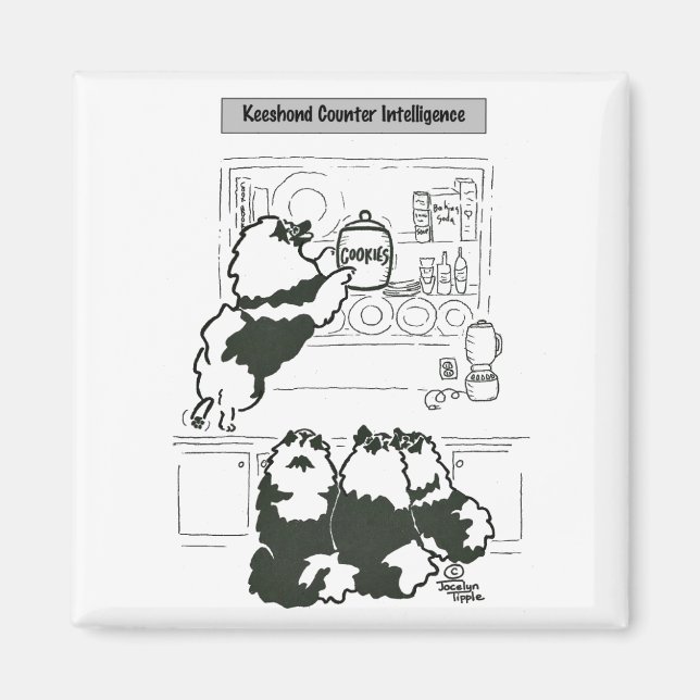 Íman Inteligência de Contadores de Keeshond (Frente)