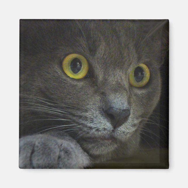 Íman Intensidade (Frente)