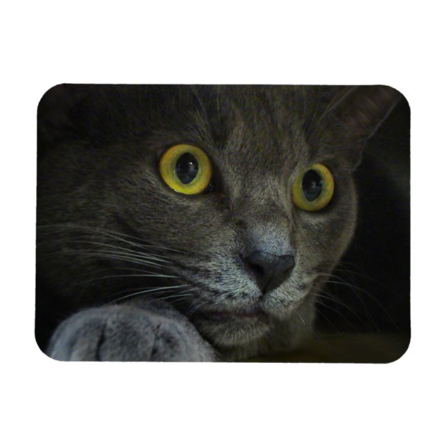 Íman Intensidade do ímã flexível (Horizontal)