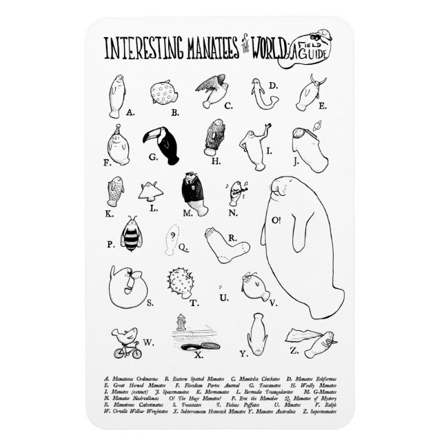 Íman interessante de Manatees (Vertical)