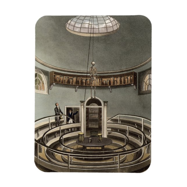 Íman Interior do Teatro de Anatomia, Cambridge, de (Vertical)