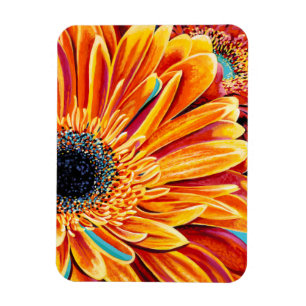 Íman Intermitências de cores II