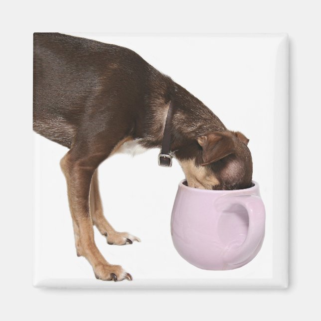 Íman intervalo de café (Frente)