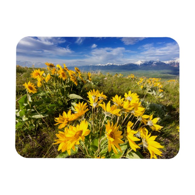 Íman Intervalo Nacional de Bison (Horizontal)