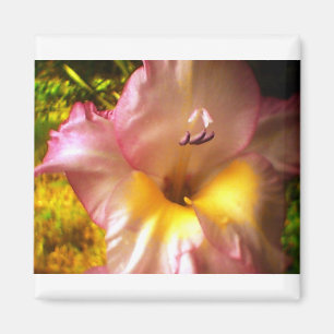 Íman Invernente de Flor Rosa Bloqueado