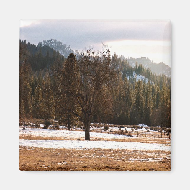 Íman Inverno... (Frente)