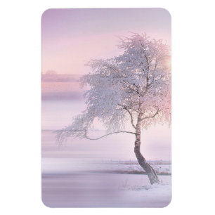 Íman Inverno 05