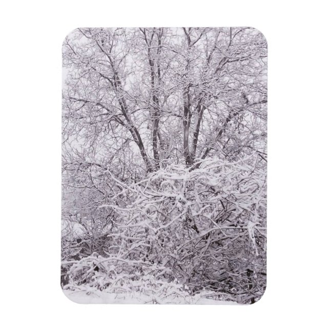 Íman Inverno com paisagem de neve (Vertical)