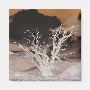 ÍMAN INVERNO DE MONTANHA