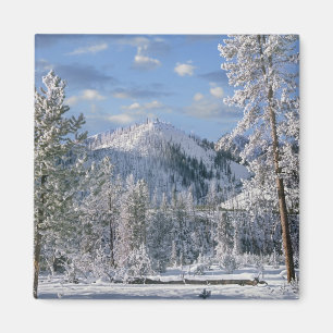 Íman Inverno no Parque Nacional de Yellowstone, Wyoming