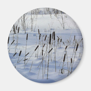 Íman Inverno no Quebec, Canadá
