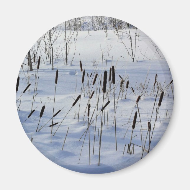 Íman Inverno no Quebec, Canadá (Frente)