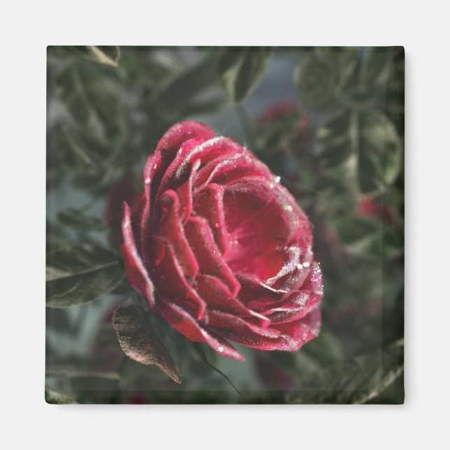 Íman Inverno para presentes (Frente)