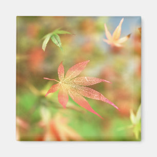 Íman Inverter Magneta