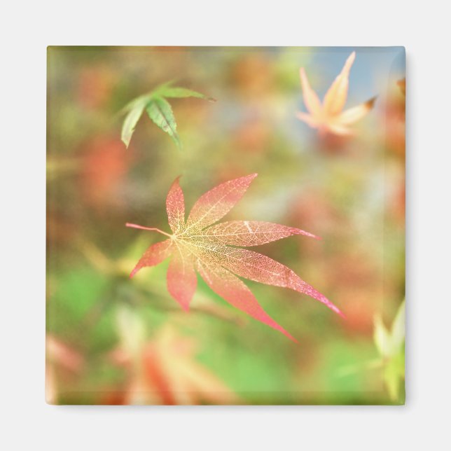 Íman Inverter Magneta (Frente)