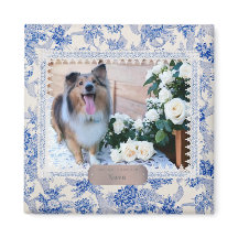 Íoney's Southern Paws 2024 Calendar Magnet