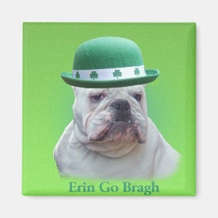 Íman Ireland
