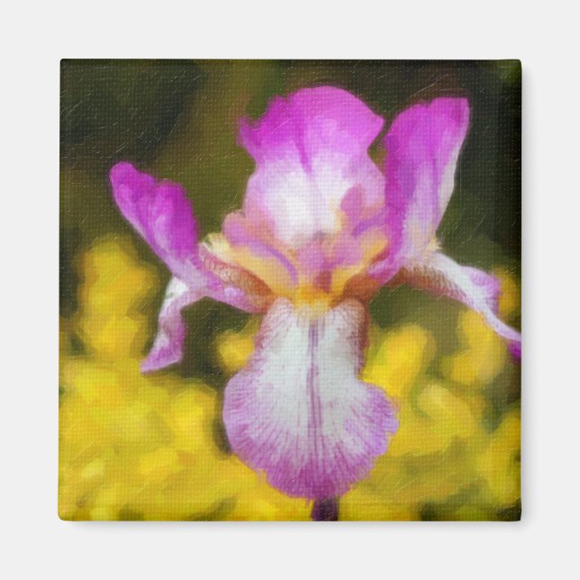 Íman Iris (Frente)