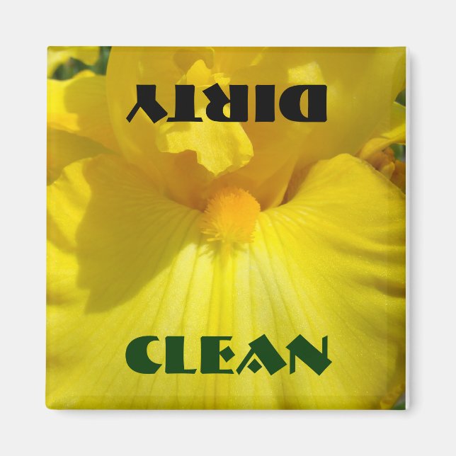 Íman Íris Amarelo Amarelo Flores de Lâmpadas Sujas Limp (Frente)