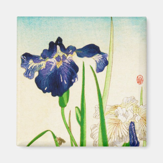 Íman Íris azul - impressão de aquarela japonesa (Frente)