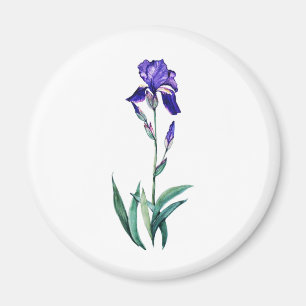 Íman Íris azul por PMACarlson