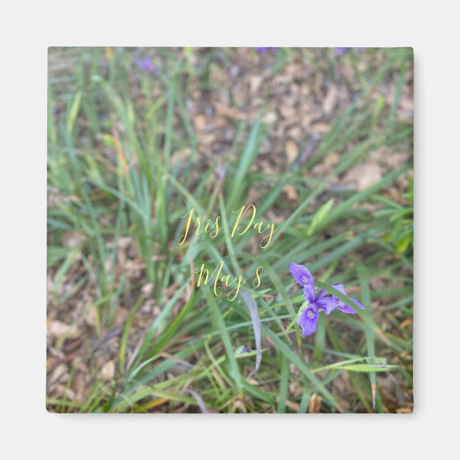 Íman Iris Day (Frente)