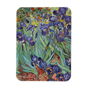 Íman Íris de Van Gogh Pintura Impressionista