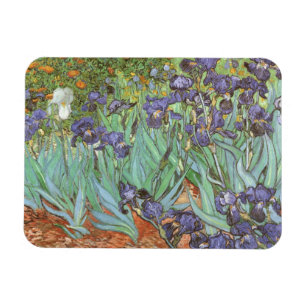 Íman Íris de Vincent van Gogh