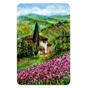 ÍMAN  ÍRIS EM TOSCÂNIA